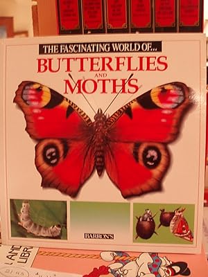 Bild des Verkufers fr Butterflies and Moths zum Verkauf von Carol's Cache