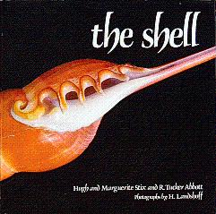 Bild des Verkufers fr The Shell zum Verkauf von LEFT COAST BOOKS