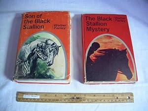Seller image for Son of the Black Stallion / The Black Stallion Mystery [2 Books, Juvenile Literature, Horse Story, Adventure Stories, Pride and Majestic horses saga for Young readers] for sale by GREAT PACIFIC BOOKS