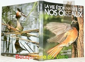 Bild des Verkufers fr La vie tonnante de nos oiseaux. zum Verkauf von Bouquinerie du Varis