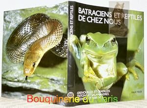 Seller image for Batraciens et reptiles de chez nous. Grenouilles et crapauds. Tritons et salamandres. Lzards et serpents. Photos: Max Meier. Dessins: Harald Cigler. for sale by Bouquinerie du Varis