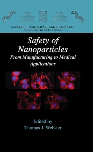 Seller image for Safety of Nanoparticles : From Manufacturing to Medical Applications for sale by AHA-BUCH GmbH
