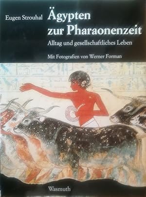 Bild des Verkufers fr gypten zur Pharaonenzeit. Alltag und gesellschaftliches Leben. zum Verkauf von Antiquariat Bcheretage