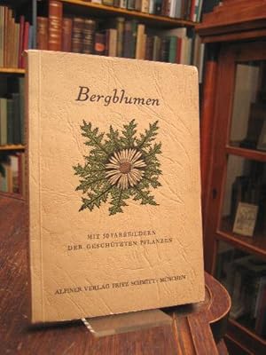 Bergblumen : Geschütze Pflanzen in Südbayern. Farbbilder von Franz Murr, botanische Texte von Fri...