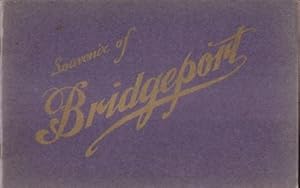 VIEWS OF BRIDGEPORT CONNECTICUT (Ca: 1900)