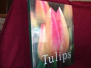 Seller image for Tulips. for sale by BookMine