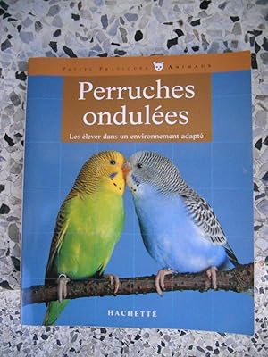 Imagen del vendedor de Perruches ondulees - Les elever dans un environnement adapte a la venta por Frederic Delbos