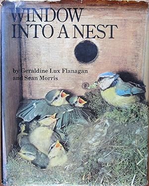 Seller image for Window into a Nest for sale by CHAPTER TWO