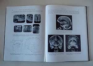 Surface And Radiological Anatomy