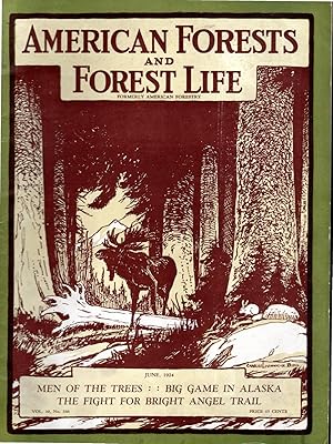 Bild des Verkufers fr American Forests and Forest Life: The magazine of Rthe American Forestry Association: Volume 30, No. 366: June, 1924 zum Verkauf von Dorley House Books, Inc.