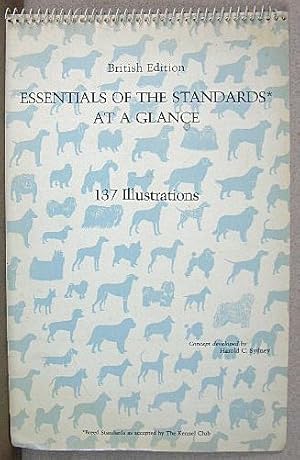 ESSENTIALS OF THE STANDARDS AT A GLANCE, British Edition