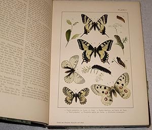 British and European Butterflies and Moths (Macrolepidoptera).