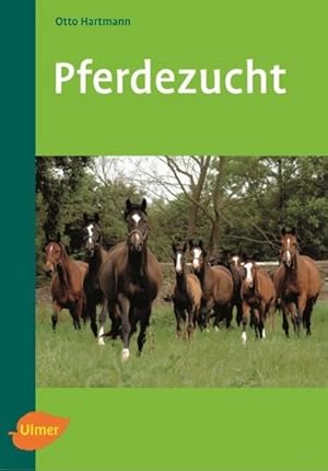 Seller image for Pferdezucht for sale by BuchWeltWeit Ludwig Meier e.K.