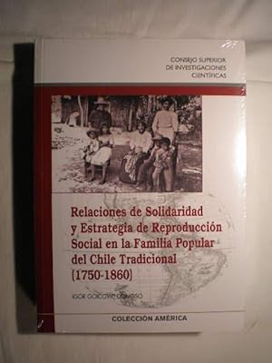 Relaciones de solidaridad y estrategia de reproducción social en la familia popular del Chile tra...