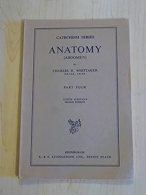 Anatomy ( Abdomen ) Part Four 4 -- Catechism Series