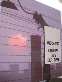 Seller image for Auschwitz Stimmen aus der Tiefe for sale by Alte Bcherwelt