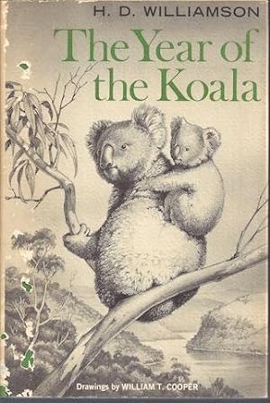 The year of the koala
