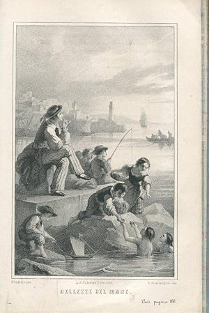 GIOIE E SOFFERENZE DELLA VITA MARINA, Trieste, Coen Colombo, 1863