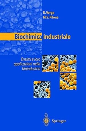 Bild des Verkufers fr Biochimica industriale : Enzimi e loro applicazioni nella bioindustria zum Verkauf von AHA-BUCH GmbH