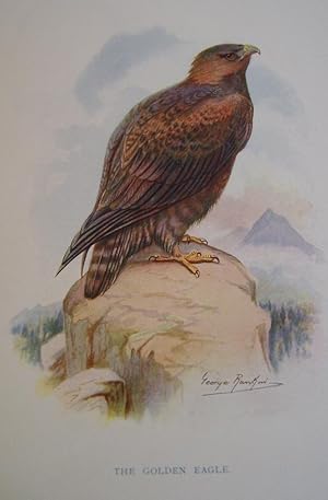 Seller image for THE BOOK OF BIRDS An Album of Natural History for sale by LOE BOOKS