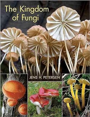 Imagen del vendedor de The Kingdom of Fungi (Hardcover) a la venta por Grand Eagle Retail