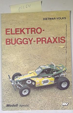 Elektro-Buggy-Praxis - Modell-Spezial