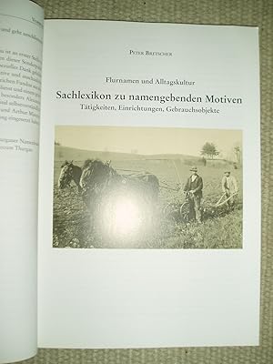 Flurnamen und Alltagskultur : Sachlexikon zu namengebenden Motiven ; Tätigkeiten, Einrichtungen, ...