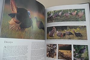 2000, Trade Paperback Calling and Decoying Wild Turkeys by Gary Clancy The Complete Hunter Ser.: Turkey Hunting Tactics : Expert Advice for Locating for sale online 