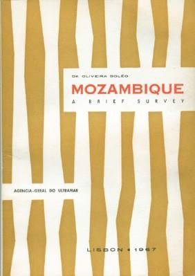 Mozambique - a Brief Survey