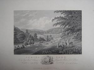 An Original Antique Engraving Illustrating Spring Park in Gloucestershire. Published in 1825