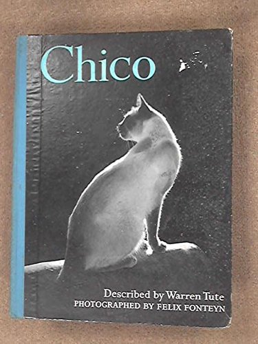 Stock image for Chico for sale by Wonder Book