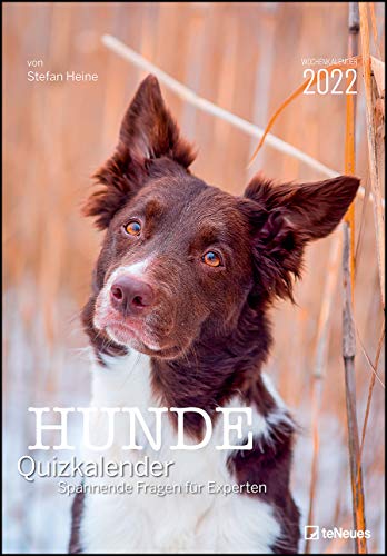 Beispielbild fr Stefan Heine Hunde Quizkalender 2022 Wochenkalender - Quizkalender - Rtselkalender - Jede-Woche-neue-Rtsel - Tierkalender - 23,7x34 zum Verkauf von medimops