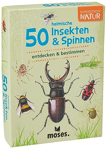 4033477097231: Expedition Natur 50 heimische Insekten & Spinnen: entdecken & bestimmen