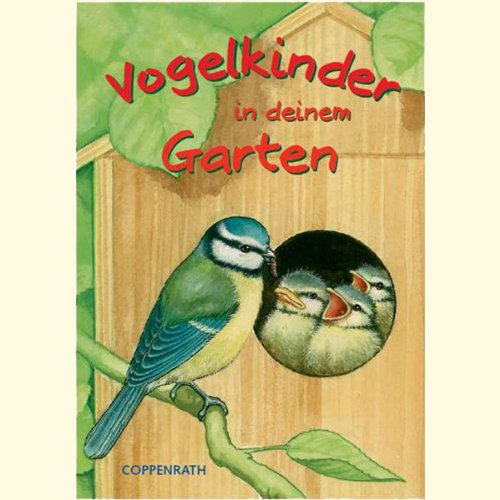 Stock image for Vogelkinder in deinem Garten (Nistkastenbausatz & Buch) for sale by medimops