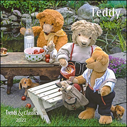 Beispielbild fr Teddy 2021 - Broschrenkalender - Wandkalender - mit herausnehmbarem Poster - Format 30 x 30 cm zum Verkauf von medimops