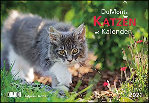 Beispielbild fr DUMONTS Katzenkalender 2021 - Broschrenkalender - Wandkalender - mit Schulferienterminen - Format 42 x 29 cm: mit kurzweiligen Katzengeschichten zum Verkauf von medimops
