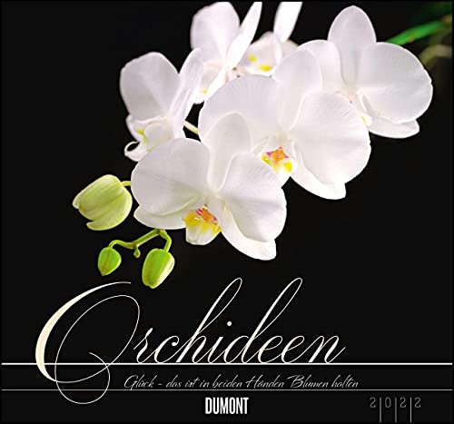 Imagen de archivo de Orchideen 2022 - DUMONT Wandkalender - mit den wichtigsten Feiertagen - Format 38,0 x 35,5 cm a la venta por medimops