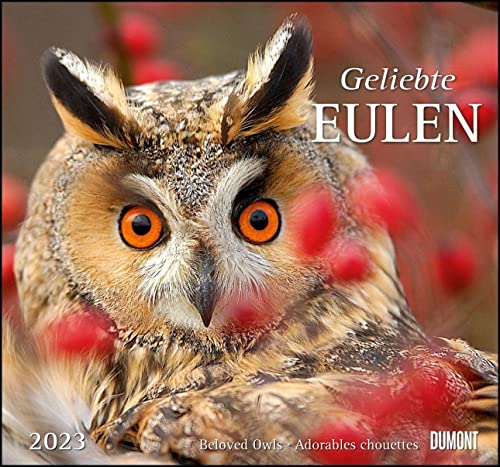 Stock image for Geliebte Eulen 2023 - DUMONT Wandkalender - mit den wichtigsten Feiertagen - Format 38,0 x 35,5 cm for sale by medimops