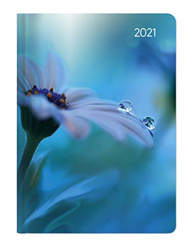 Imagen de archivo de Ladytimer Midi Waterdrops 2021 - Taschen-Kalender 12x17 cm - Tropfen - mit Mattfolie - Notiz-Buch - Weekly - 192 Seiten - Alpha Edition a la venta por medimops