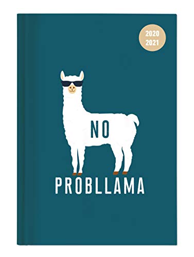 Beispielbild fr Collegetimer Llama 2020/2021 - Schler-Kalender A6 (10x15 cm) - Lama - Weekly - 224 Seiten - Terminplaner - Alpha Edition (Collegetimer A6 Weekly) zum Verkauf von medimops