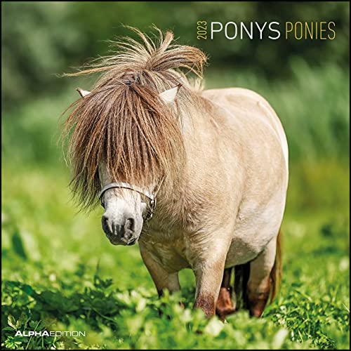 Stock image for Ponys 2023 - Broschrenkalender 30x30 cm (30x60 geffnet) - Kalender mit Platz fr Notizen - Ponies - Bildkalender - Wandplaner - Pferdekalender: Ponies - Pferde for sale by medimops