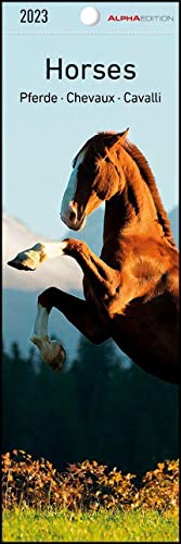 Stock image for Pferde 2023 - Lesezeichenkalender 5,5x16,5 cm - Horses - Tierkalender - Lesehilfe - Alpha Edition for sale by medimops