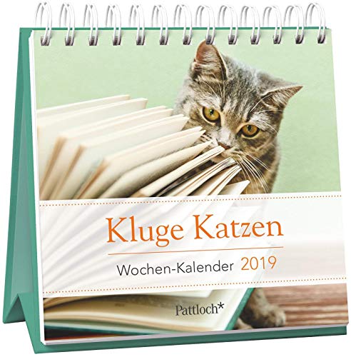 Imagen de archivo de Kluge Katzen - Mini-Kalender 2019: Wochenkalender zum Aufstellen m. Fotos u. Zitaten, Spiralbindung, 10,5 x 10,5 cm a la venta por medimops