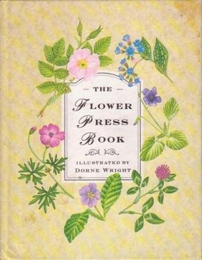 Stock image for The Flower Press Book for sale by Brit Books