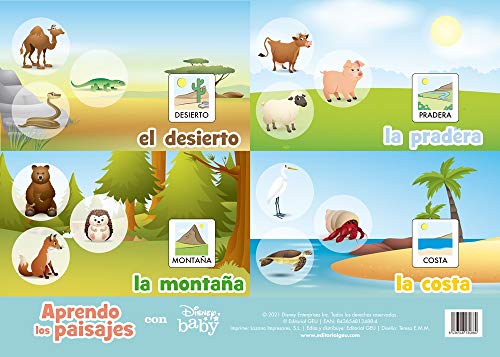 Stock image for APRENDO LOS PAISAJES CON DISNEY BABY for sale by Hiperbook Espaa