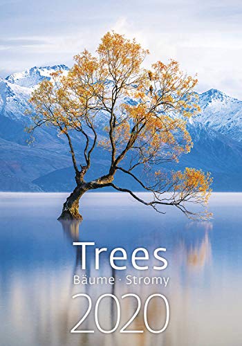 Beispielbild fr Trees Calendar - Calendars 2019 - 2020 Calendar - Natural Beauty Calendar - Photo Calendar - Forest Calendar By Helma (Multilingual Edition) zum Verkauf von medimops