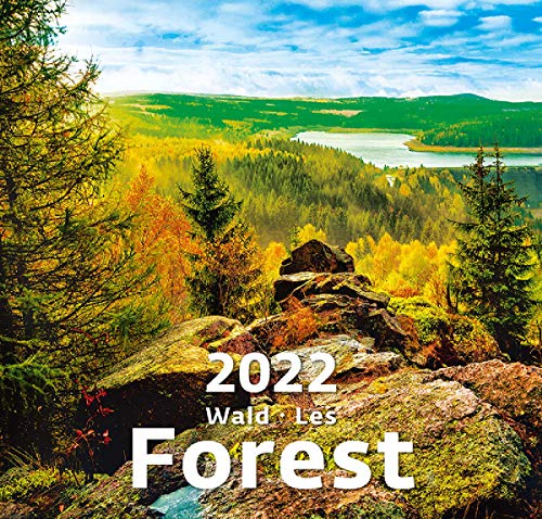 Beispielbild fr Forest Wall Calendar - Calendars - 2021 - 2022 Calendar - Nature Wall Calendar -Photo Calendars - Photo Calendar By Helma zum Verkauf von medimops