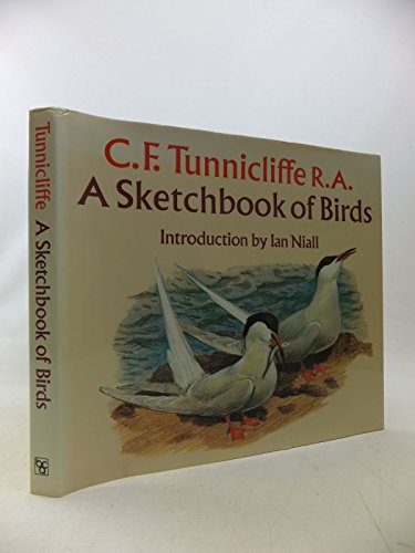 Stock image for A Sketchbook of Birds for sale by Wonder Book