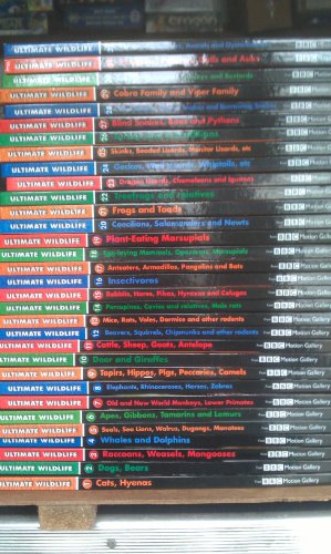 Stock image for Grassland Grazers : Book + DVD : Volume 11 : (Ultimate Wildlife) for sale by Better World Books Ltd
