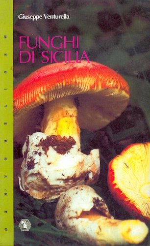 9780000993977: FUNGHI DI SICILIA